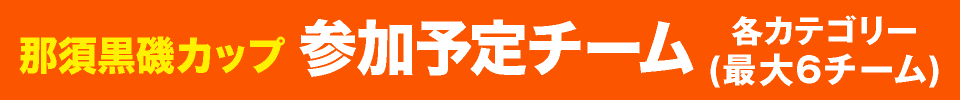 参加予定チーム