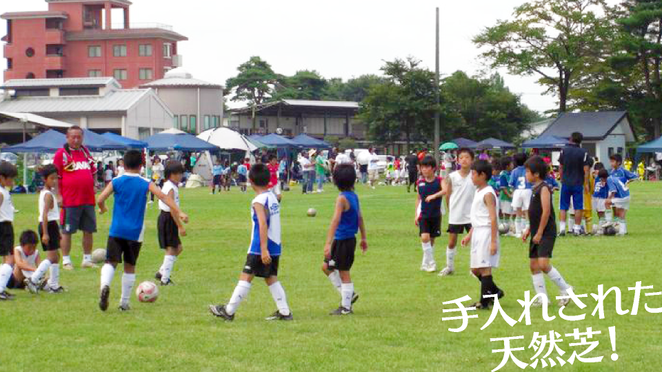 手入れされた天然芝！